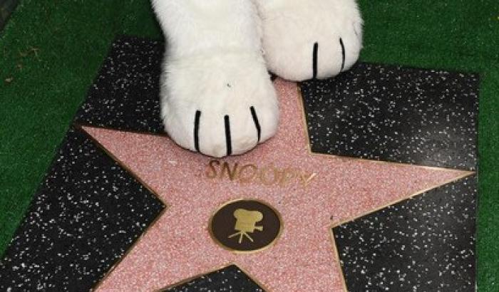 Sulla Walk of fame brilla la stella di Snoopy