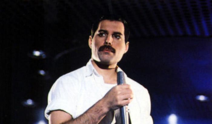 Freddie Mercury: il biopic si farà