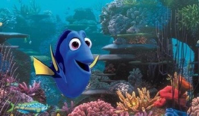 Alla ricerca di Dory, Disney: non comprate pesci chirurgo