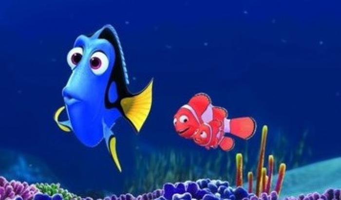 13 anni dopo Nemo la pesciolina Dory ritrova la memoria