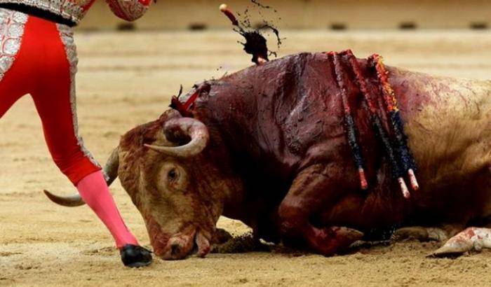 Paura, dolore e morte: documentario racconta la corrida dalla prospettiva del toro