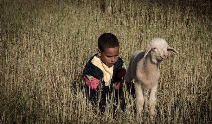 Adil, una vita di stenti in Marocco. E poi il miracolo del cinema