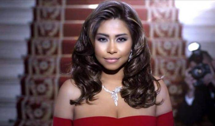 "Non bevete l'acqua del Nilo, vi ammalate": pop star condannata per oltraggio allo Stato