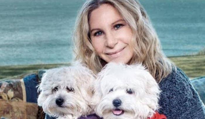 Barbra Streisand: "ho fatto clonare il mio cane, ora ho due nuovi cuccioli"