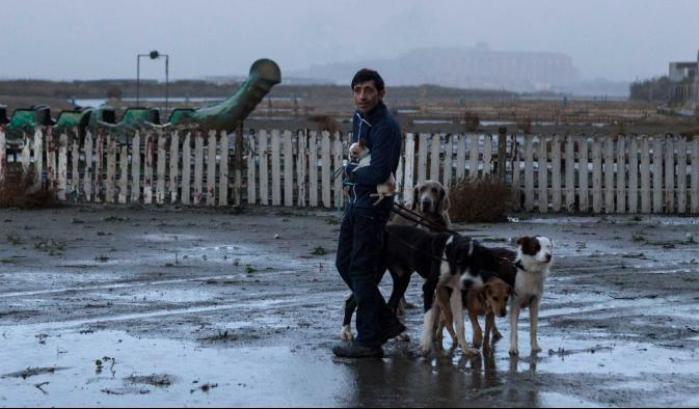 Oscar, l'Italia ha scelto Dogman: il film di Garrone candidato come miglior film straniero