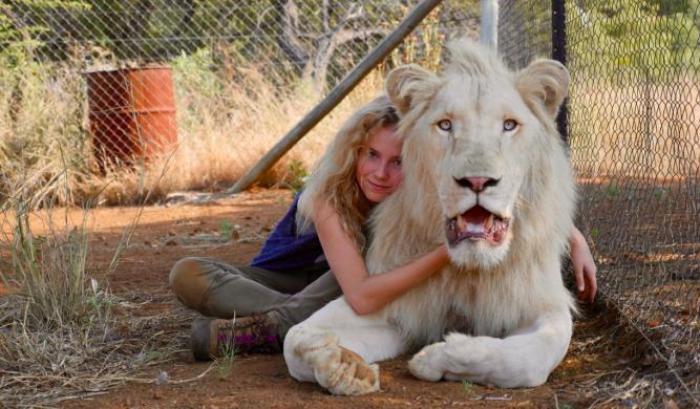 “Mia e il leone bianco”, un'amicizia speciale alle Giornate del cinema