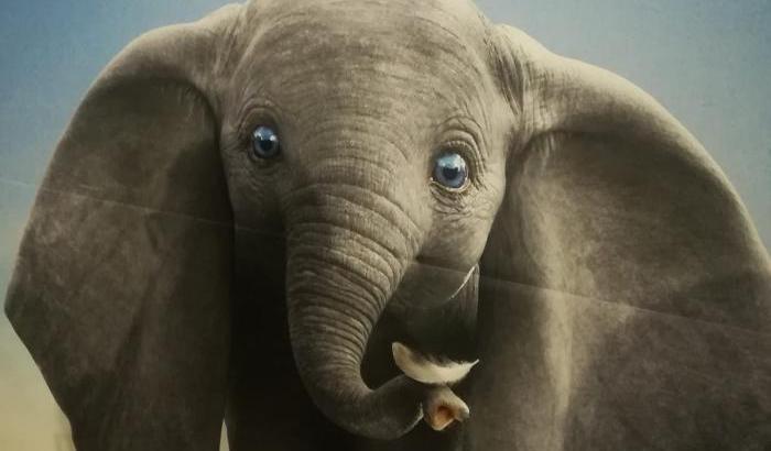 L’elefantino Dumbo torna a volare con Tim Burton