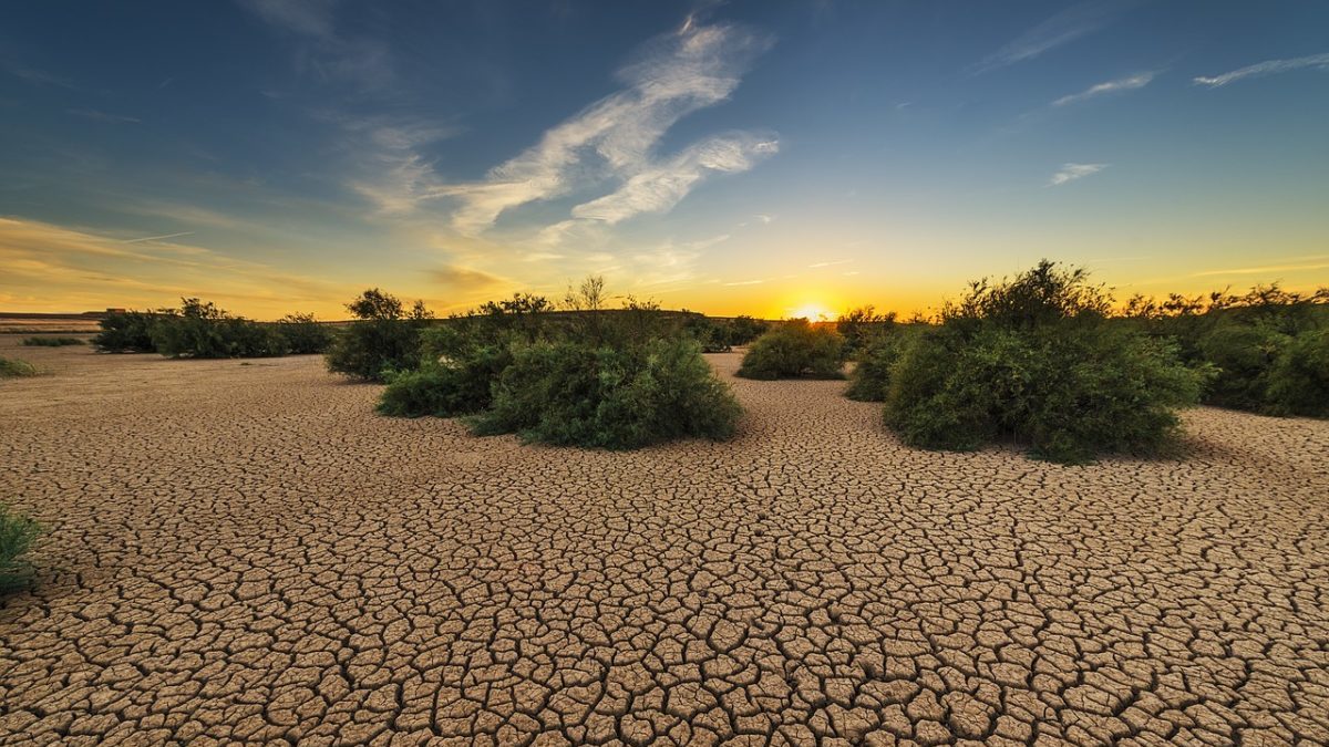 Clima e migrazioni al centro dell’ultimo romanzo di Malenotti