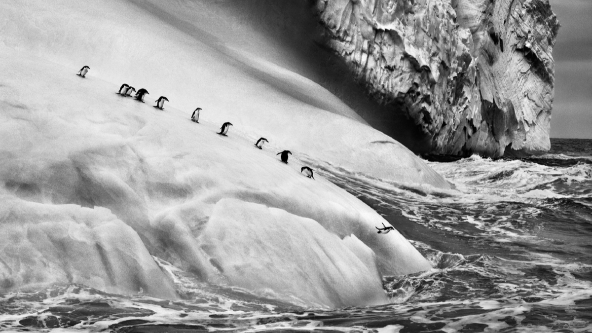 Sebastião-Salgado_dalla-serie-Ghiacciai-1995-2020_fotografia_Courtesy-lartista Sebastião Salgado e i ghiacciai morenti
