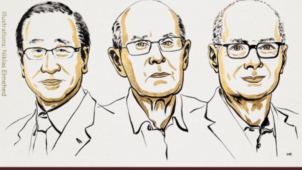 Kitagawa, Robson e Yaghi, pionieri dei reticoli porosi, premiati per i metal-organic frameworks