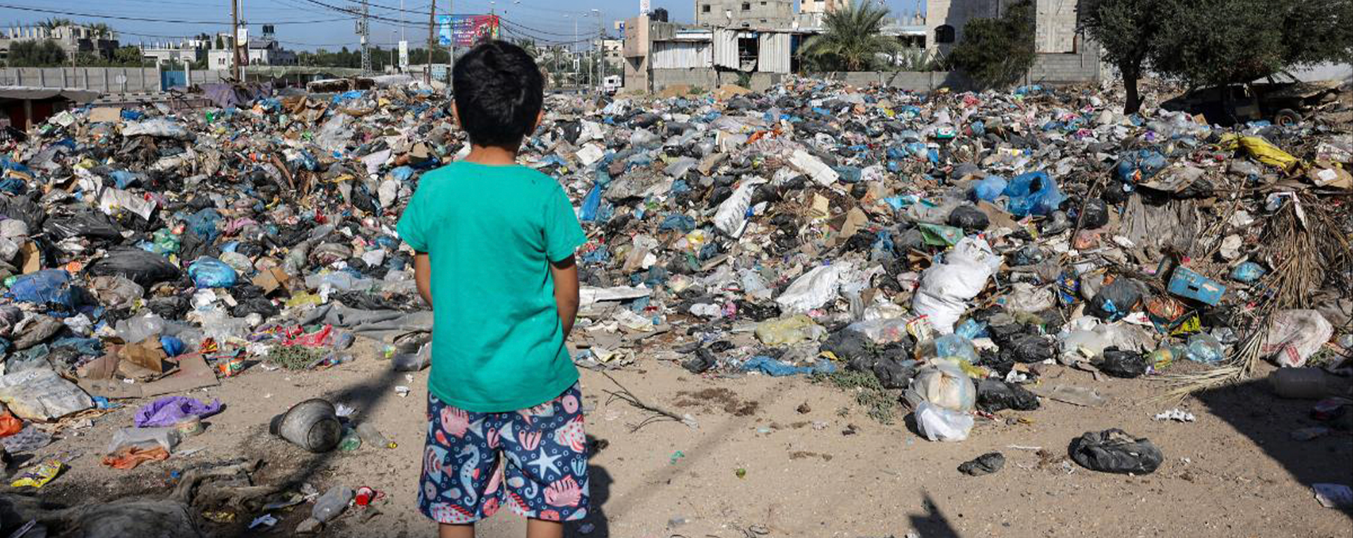Non solo sofferenza ma anche tanto inquinamento. Purtroppo (quasi) nessuno ne parla