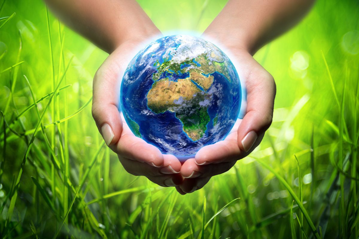 Green Heritage Project, la cultura in campo per il clima