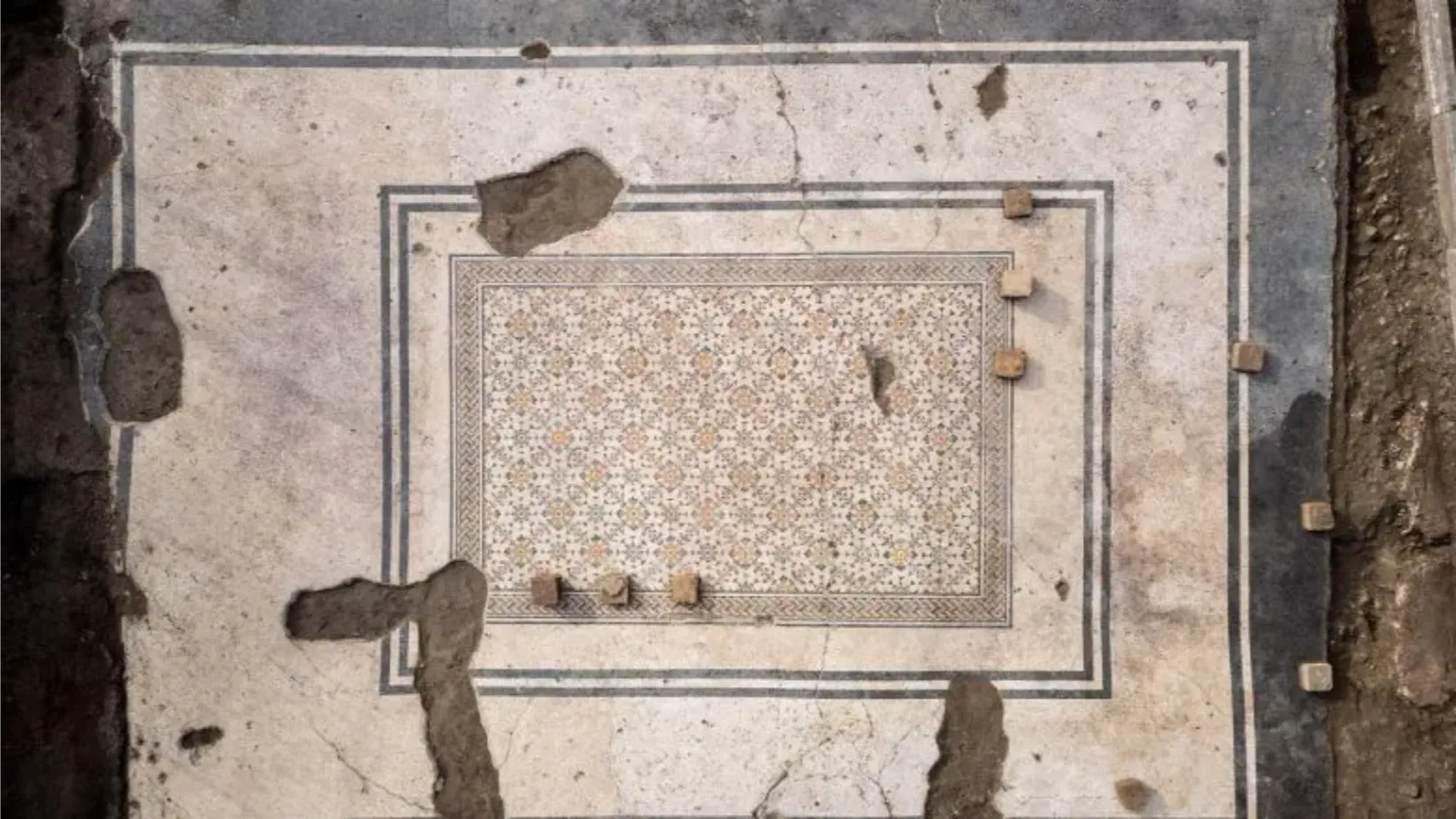 Il mosaico del &ldquo;tappeto fiorito" sar&agrave; finalmente visibile&nbsp;