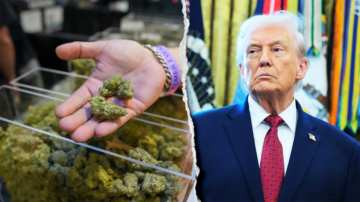 Trump riclassifica la marijuana: non &egrave; pi&ugrave; considerata al pari dell'eroina